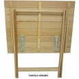 TAVOLO PIEGHEVOLE RICHIUDIBILE  60 X 100 CM